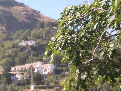 Cazorla - Photo 2