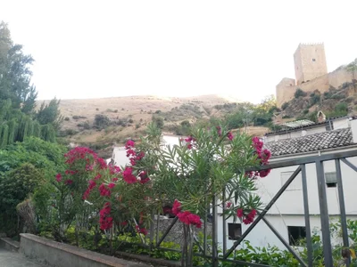 Cazorla - Photo 3