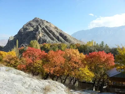 Isfara - Photo 4