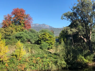 Porepunkah - Photo 5