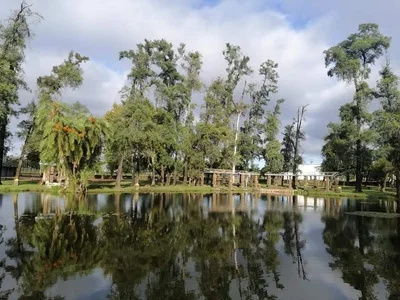 Artigas - Photo 2