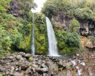 Egmont National Park - Photo 2