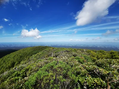 Egmont National Park - Photo 3