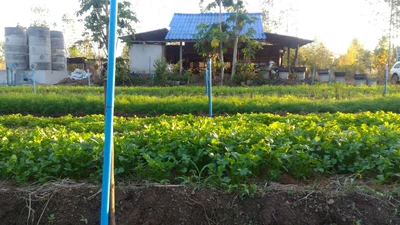 Charoen Sin - Photo 3