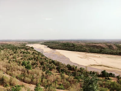 Rewa - Photo 3