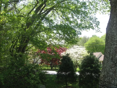 Westport - Photo 3