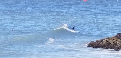 Westport - Photo 5