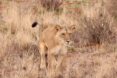 Samburu National Reserve - Photo 3