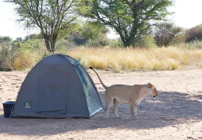 Samburu National Reserve - Photo 4