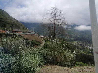 Guasuntos - Photo 3