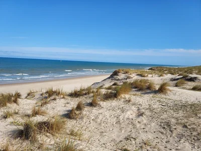 Gironde - Photo 4