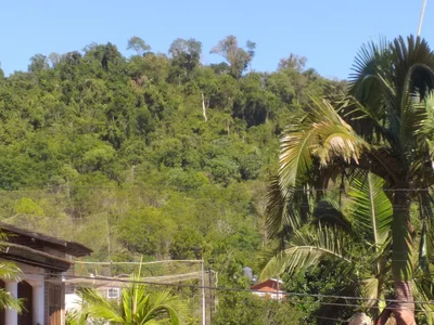 El Soberbio - Photo 2