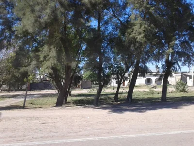 Gancedo - Photo 5