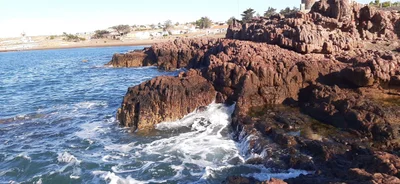 Camarones - Photo 4