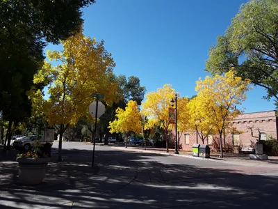 Carbondale - Photo 3