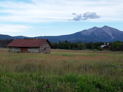 Carbondale - Photo 5