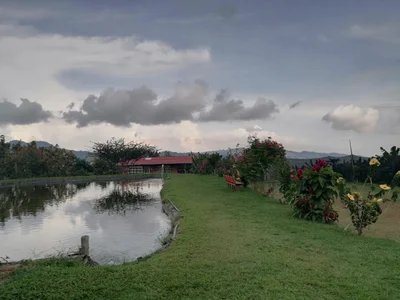 Libano - Photo 4