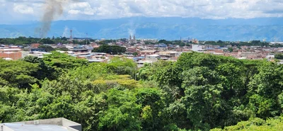 Tulua - Photo 4