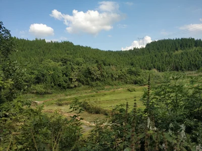 Loudi - Photo 2
