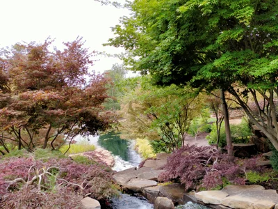 O'Connell - Photo 2