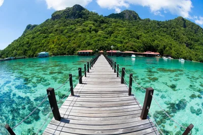 Pulau Tioman - Photo 4