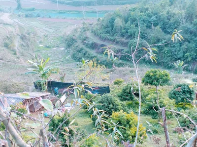 Yuanmou County - Photo 2