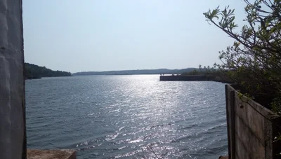 Aronda - Photo 5