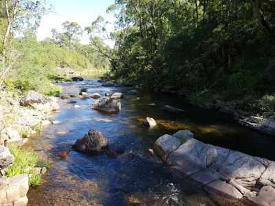 King Valley - Photo 5