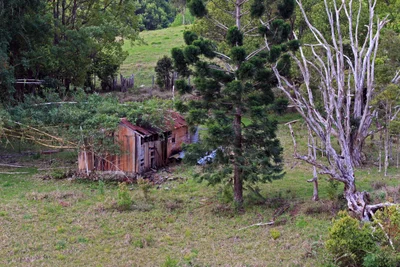 Fernleigh - Photo 2