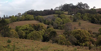 Fernleigh - Photo 3