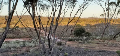 Ravensthorpe - Photo 5