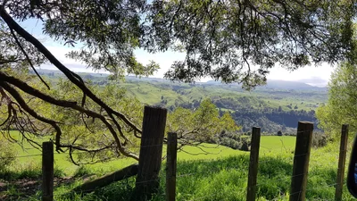 Pohangina - Photo 2