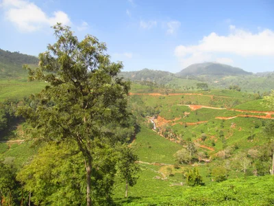Kotagiri - Photo 2