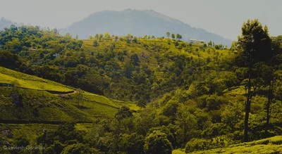 Kotagiri - Photo 3