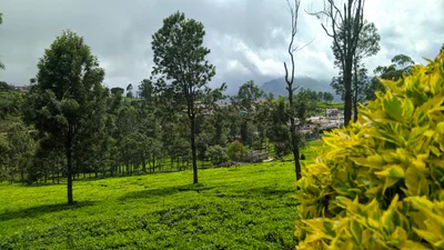 Kotagiri - Photo 5
