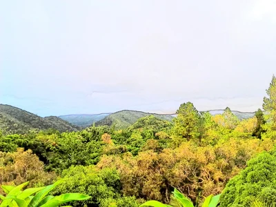 Bouloupari - Photo 3