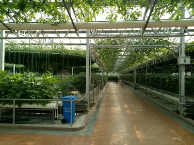 Shouguang City - Photo 3
