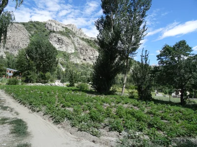 Ghulmet - Photo 2