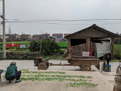 Qianjiang - Photo 2