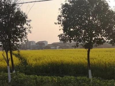 Qianjiang - Photo 4
