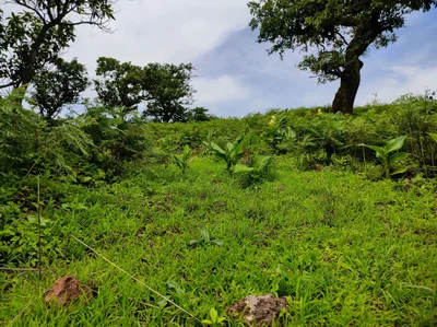 Raireshwar - Photo 2