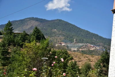 Thimphu - Photo 2