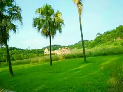 Daying County - Photo 2