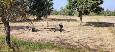 Kalasin - Photo 2