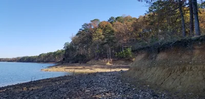 Mount Ida - Photo 5