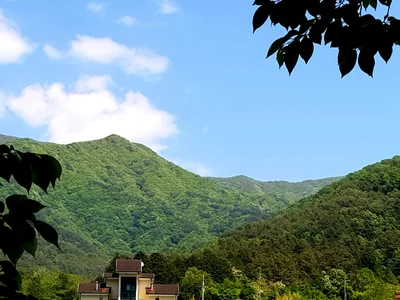 Hadong-gun - Photo 4