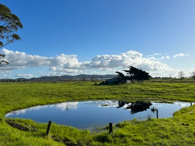 Ruakaka - Photo 2