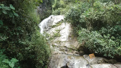 Nanegalito - Photo 2