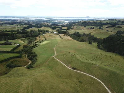 Whakamarama - Photo 3