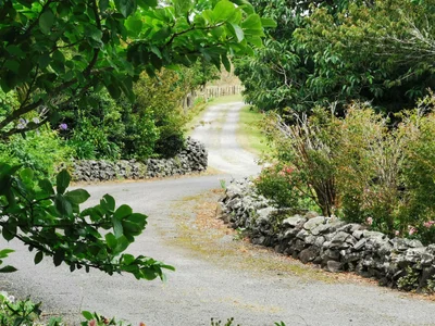 Whakamarama - Photo 5